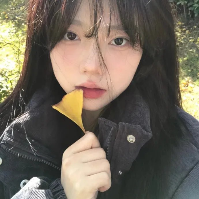 圣诞树6